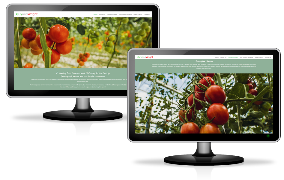 Website for Tomato Grower in Hertfordshire